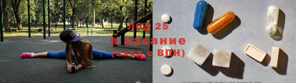 прущие грибы Баксан