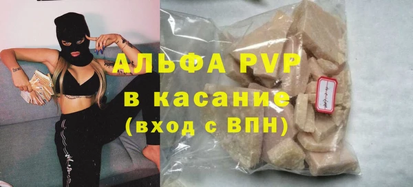 прущие грибы Баксан