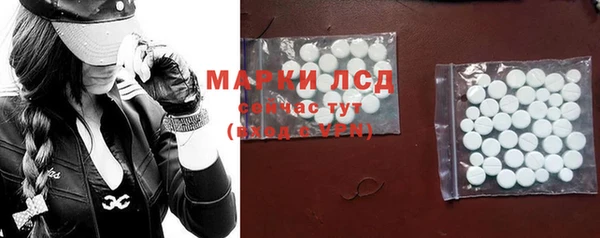 прущие грибы Баксан