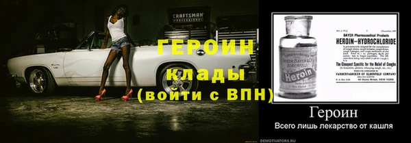 прущие грибы Баксан