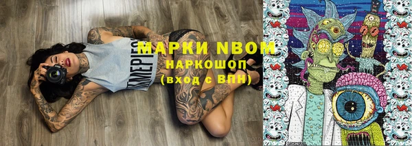 прущие грибы Баксан