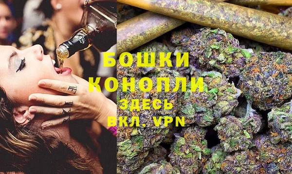прущие грибы Баксан