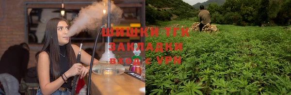 прущие грибы Баксан
