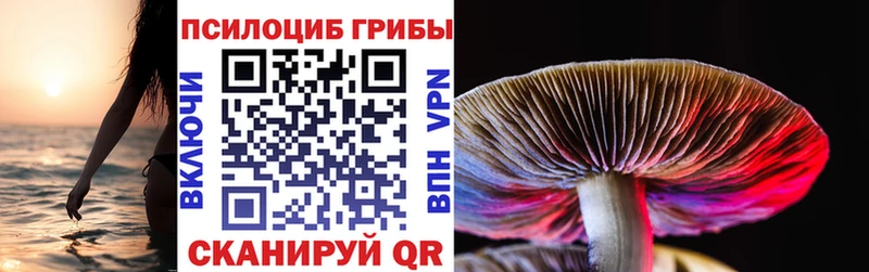 Псилоцибиновые грибы мицелий  Узловая 